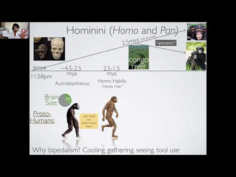 Evolutionary Psychology Lectures